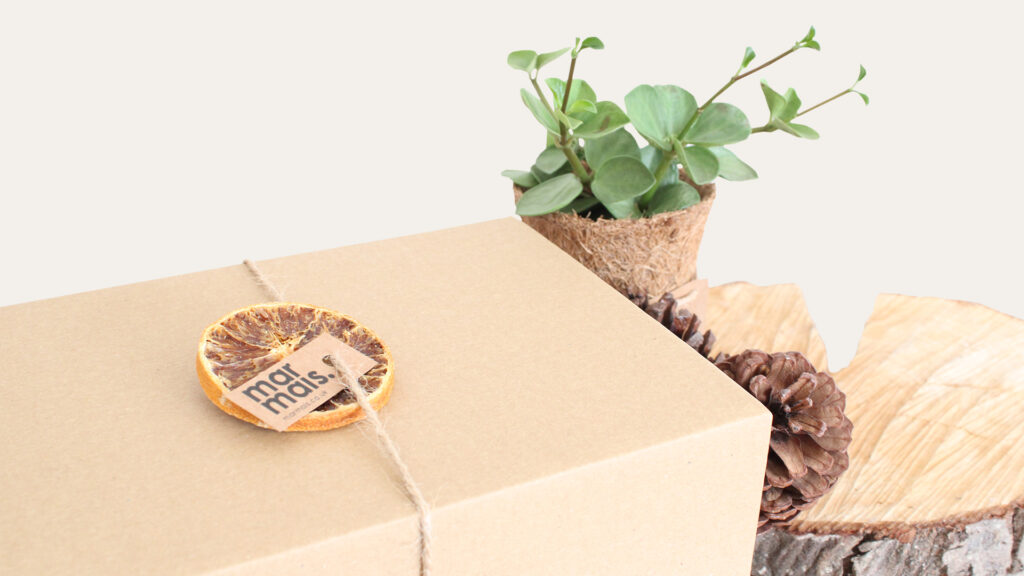 Mystery Autumn Box by Mar Mais – luxury eco-friendly candle, pumpkin wax melts and mini plant gift set